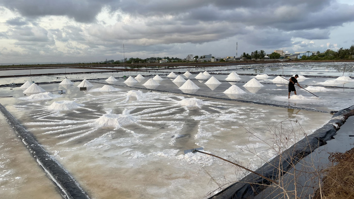 Một cánh đồng muối ở huyện Đông Hải, Bạc Liêu - Ảnh: PHAN THANH CƯỜNG 