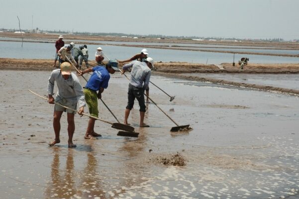 Nghe Lam Muoi O Bac Lieu Di San Van Hoa Phi Vat The Quoc Gia 2760 1