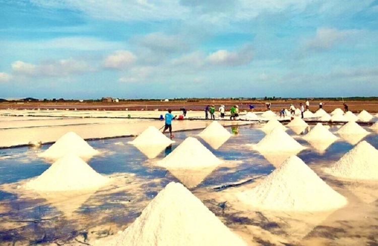 Cánh đồng muối tại huyện Hòa Bình (tỉnh Bạc Liêu). (Ảnh: TTXVN)