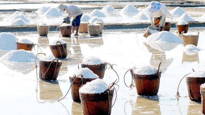 Canh Dong Muoi Bac Lieu Dia Diem Check In Hot Ran Ran Cua Gioi Tre 3080 21