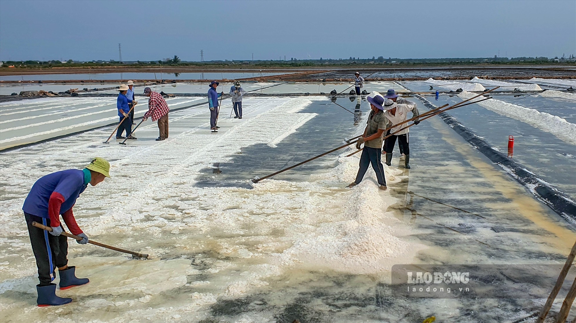 Đầu năm 2023, Ban Quản lý các dự án nông nghiệp (thuộc Bộ NNPTNT) đầu tư 100 tỉ đồng triển khai Dự án cải tạo, nâng cấp cơ sở hạ tầng muối tại huyện Đông Hải, tỉnh Bạc Liêu.